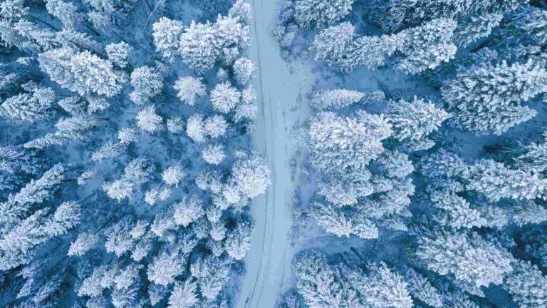 A mesmerizing aerial perspective of a snowy winter forest with a winding path.