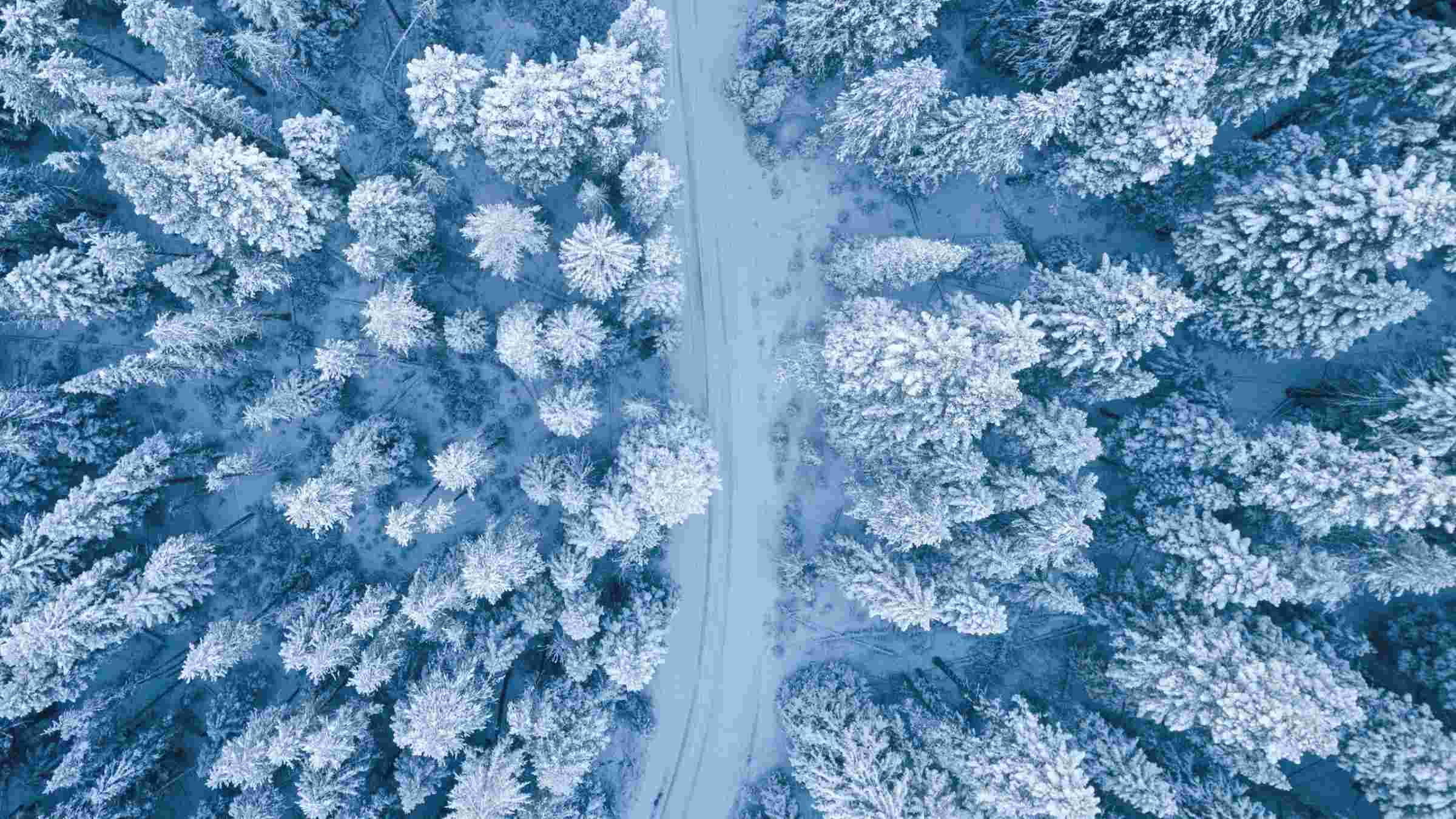 A mesmerizing aerial perspective of a snowy winter forest with a winding path.